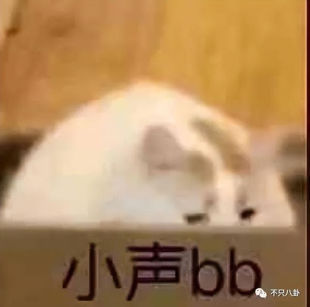 穿过挪威的森林让我走进你梦里，穿过挪威的森林是什么梗（怎么那么多人反对啊）