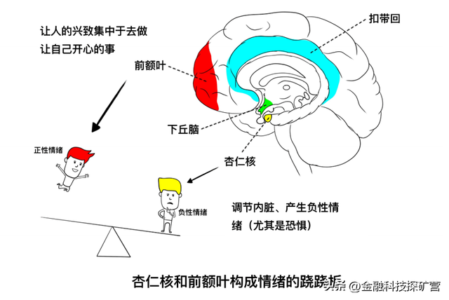 如何组建一个网络团队，网络团队怎么组建（如何建立个人独一无二的人脉网络）