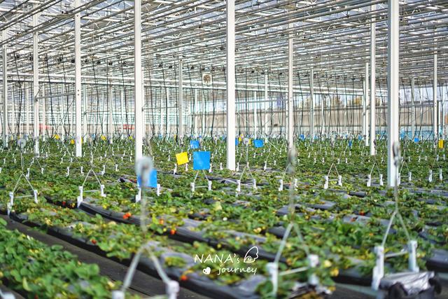 南京周边一日游，南京周边一日游去哪好（南京附近周末郊游地）