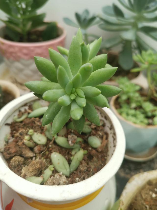 有哪些好听的网名，好看又好听的网名400个（都是些什么名字呢）