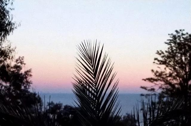 充满阳光正能量的文字图片，充满阳光正能量的说说配图（早安心语，正能量最美语录说说）