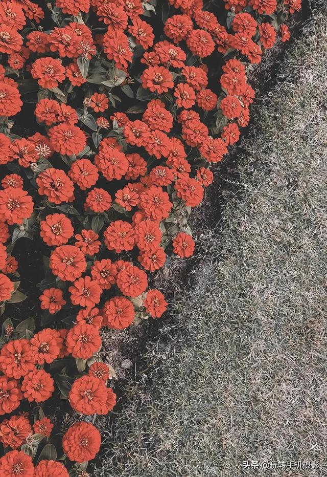 什么情况下拍照用HDR模式，拍照中的hdr是什么模式（你想不到的公园拍照技巧）