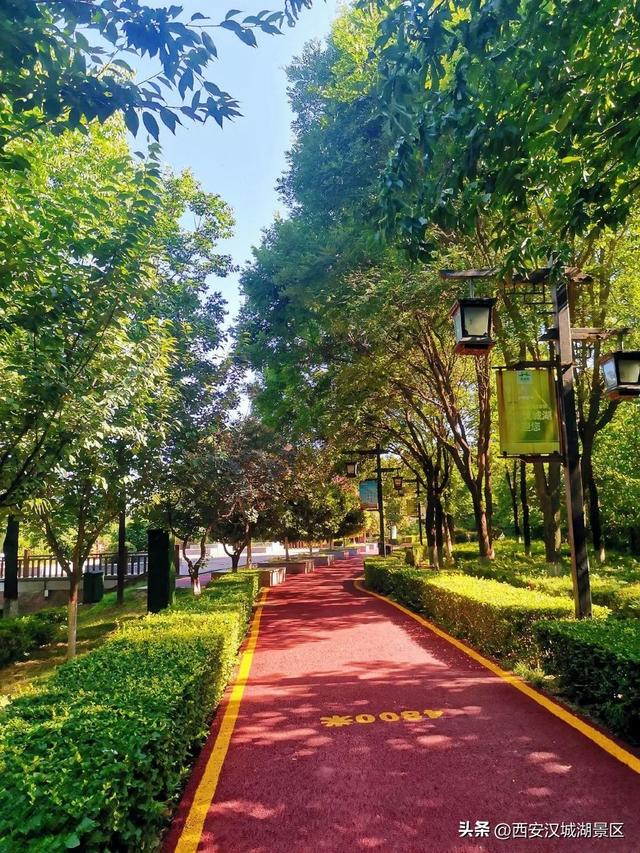 唯美图片清新简约 请允许我成为你的夏季，唯美图片清新简约头像（是时候给你点“颜色”看看了……）