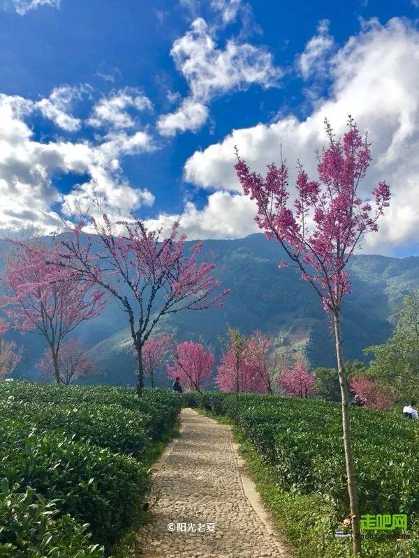 暖和的地方旅游，春节期间暖和地方适合去哪里旅游（20个小众旅行地）