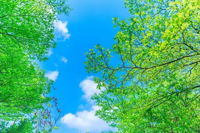 春风不解风情吹动少年的心，春风不解风情吹动少年的心歌词（春风不解风情，吹动了少年的心图片）