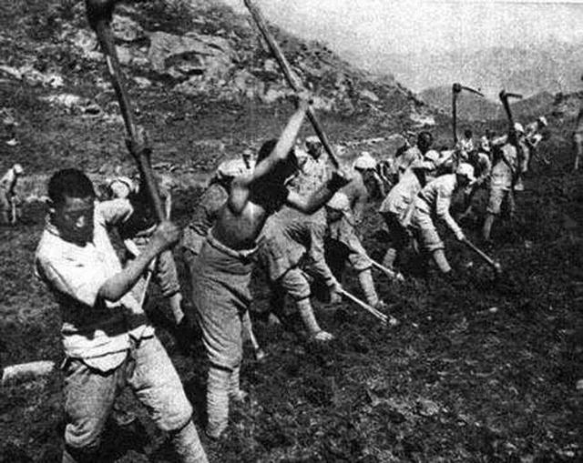 王震 新疆，对一死囚说：你来当总指挥