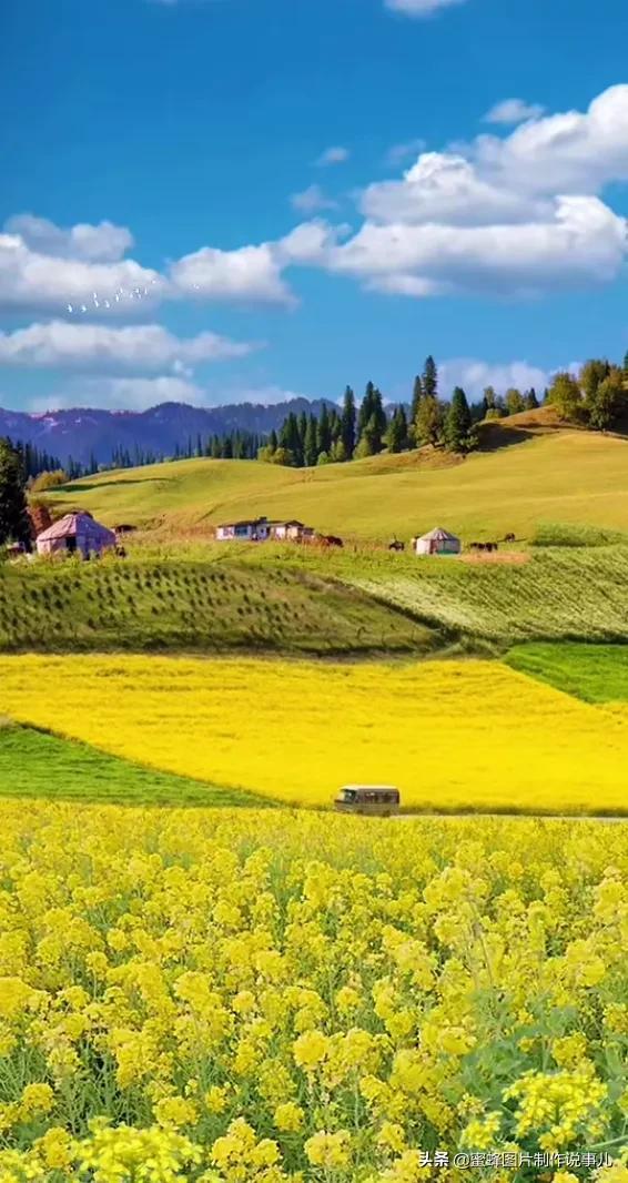 简单的风景景物唯美小清新图片,小清新风景图片 唯美(大自然美景)_犇