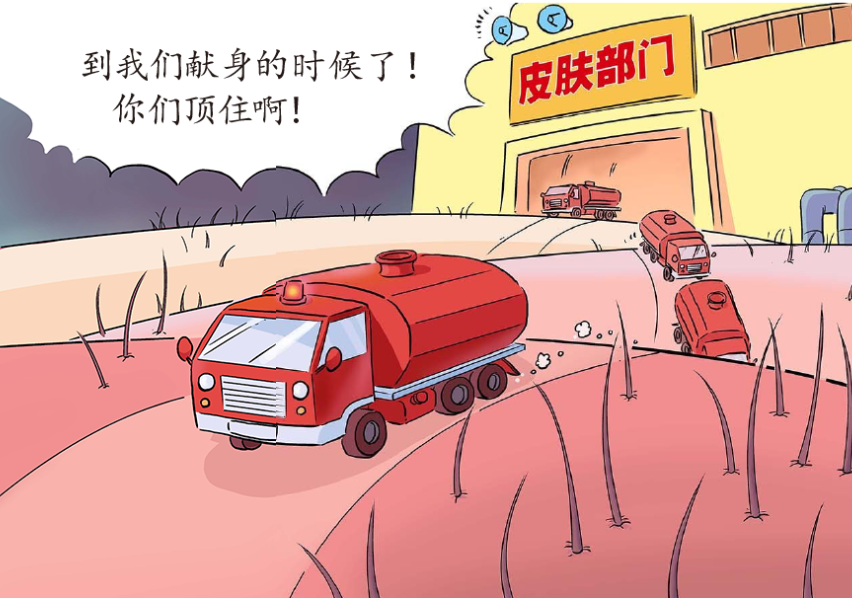人体含水量百分比最高的器官是，人体含水量百分比最高的器官是什么（缺水时，身体各器官发生了什么）