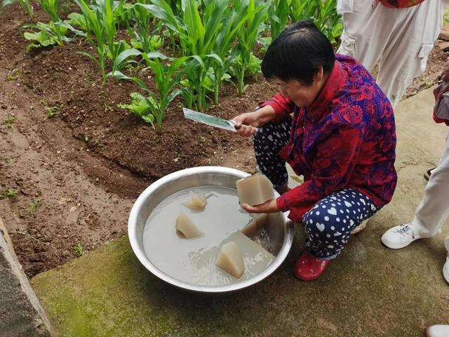 海毛菜熬冻的方法，冬天最好吃的十大凉菜（84岁奶奶70年专心做好一件事——熬制海凉粉）