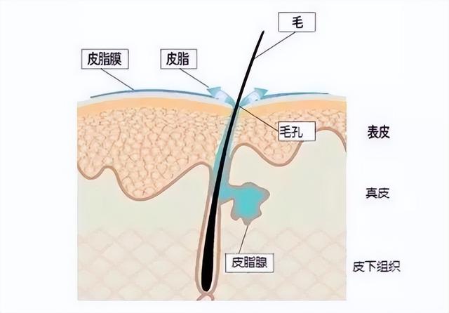 晚上不洗脸对皮肤有什么伤害，偶尔一次不洗脸对皮肤危害大吗（连续三天不洗脸，皮肤会怎么样）