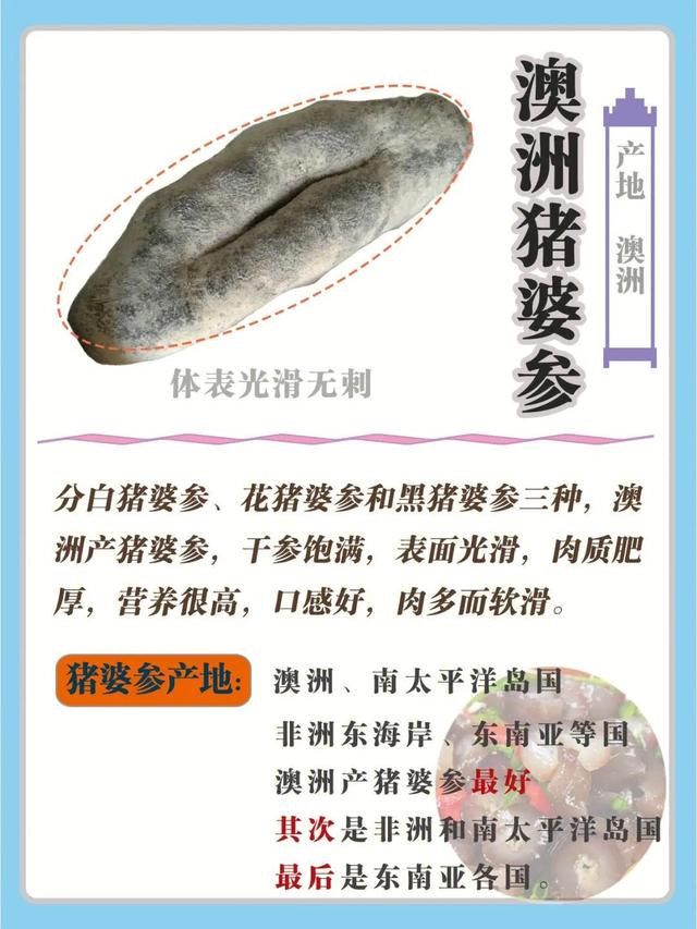 发好的海参怎么保存，泡发的海参如何保存（常见的海参，今天一次性讲清楚）