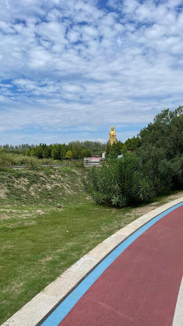 上海到青岛多远，上海到青岛的路程（上海青岛往返1400公里全程无高速沿途城市蜻蜓点水游）