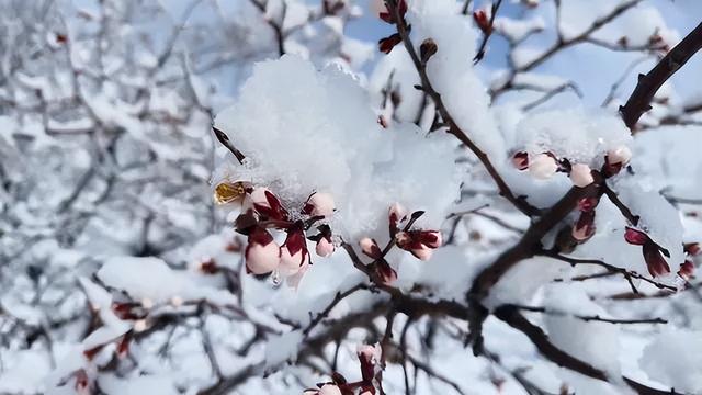 一年有两春是好兆头吗，一年两春多少年一次（老人说：“一年两个春）