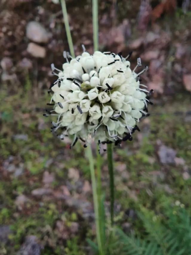 平凡的世界简介梗概，平凡的世界简介梗概1500（《平凡的世界》写了什么）