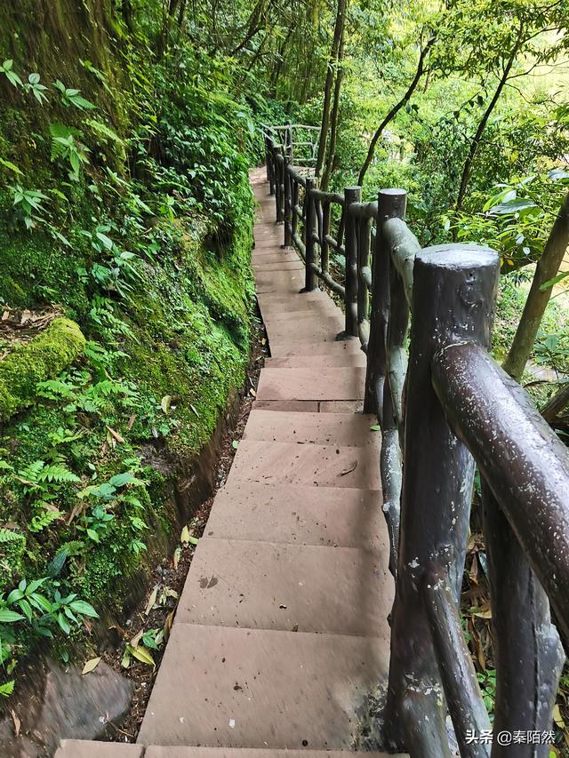 怎样游览邛崃天台山，去邛崃天台山（2022夏日自驾旅行体验）
