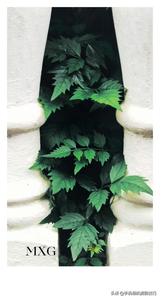 光影线条 唯美背景图，光影线条怎么拍（18张普通人拍出来的好照片）