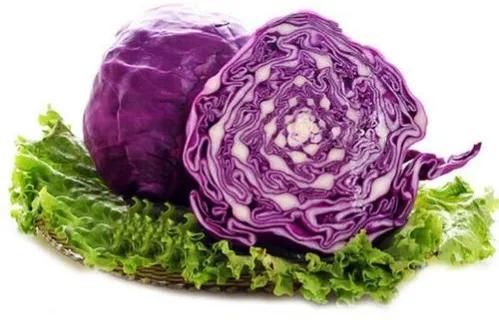 紫色的菜叫什么蔬菜，紫色的蔬菜有哪些（懒人蔬菜—紫色甘蓝）