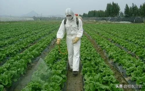 吡虫啉是酸性还是碱性，吡虫啉是碱性的吗（吡虫啉是常用的优质杀虫剂）