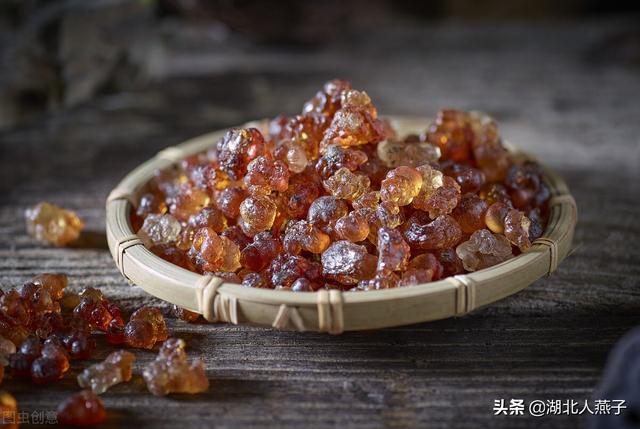 春天能吃的野菜大全，春天都有哪些野菜可以吃（送你63种野菜大图鉴）