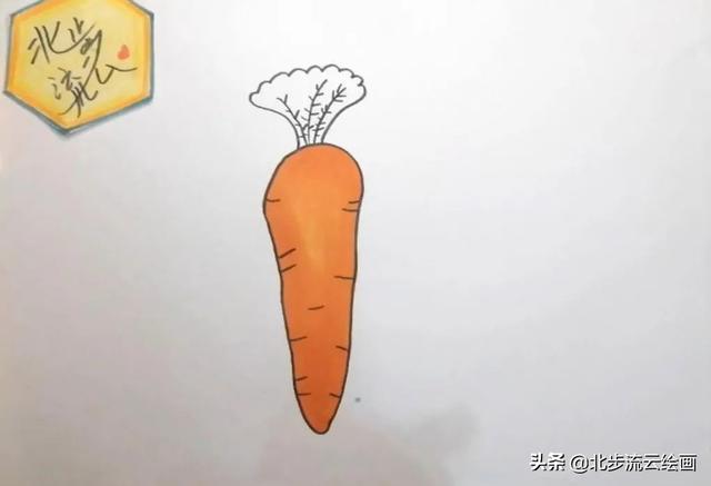胡萝卜的简笔画，胡萝卜简笔画怎么画（胡萝卜简单的绘画步骤）