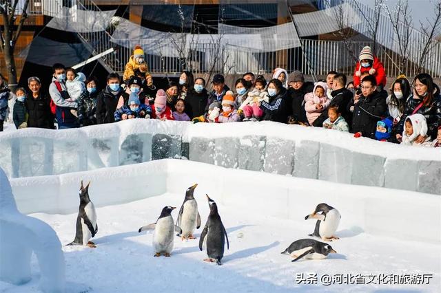 唐山旅游景点大全，唐山旅游景点大全景区（唐山市周边旅游景点大全）