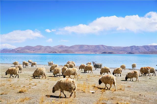 羊湖属于哪里，羊湖属于哪里管辖（遇见人间仙境羊湖最真实的模样）