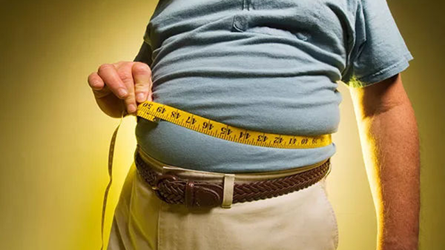 动物奶油和植物奶油哪个好，植物奶油和动物奶油的区别（买蛋糕时植物奶油、动物奶油哪种更好）