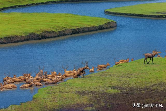 溱湖湿地公园有哪些，泰州溱湖国家湿地公园