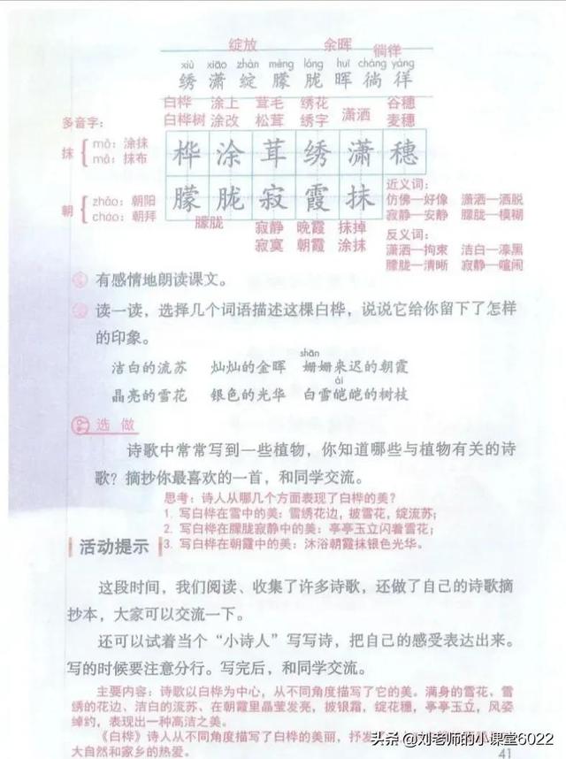 春晖和朝霞比喻什么，晚霞朝晖的意思是什么（四年级语文下册第11课《白桦》课堂笔记、课时练）