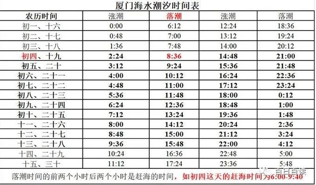 厦门游玩攻略，厦门游玩攻略4天自由行（超实用的厦门3-5天自由行攻略）