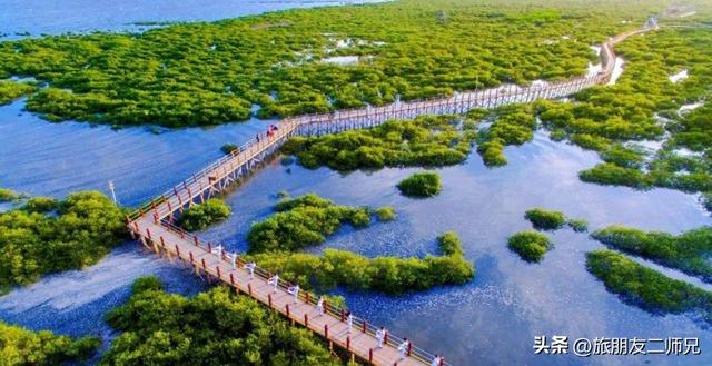 硇洲岛旅游攻略，湛江硇洲岛景点（探秘南极村+硇洲岛+东海岛+特呈岛）