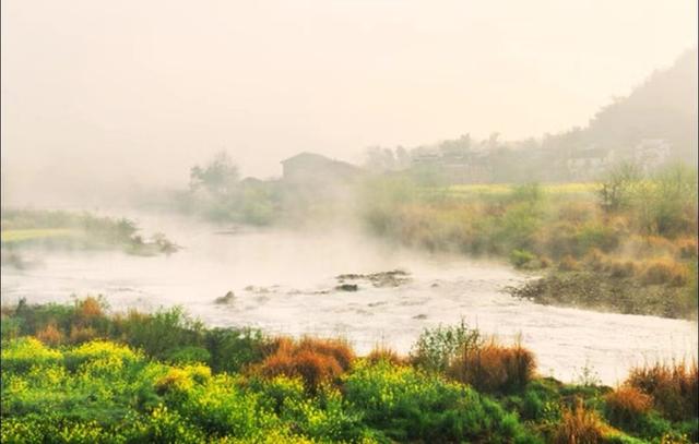 把爱放下渐渐会走更远，把爱放下渐渐会走更远歌是什么（心理学：彻底放下一个人）