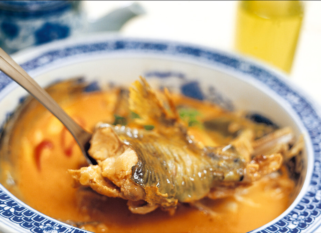 家庭炖鱼做法，烧鱼的做法和配料（鱼肉鲜嫩解馋无腥味）