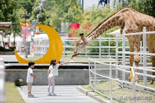 成都周边游儿童游乐园松鼠部落，2022儿童挚爱户外乐园线上评选启动
