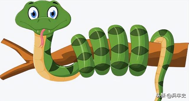 北京动物园百米巨蟒，太平洋底惊现百米巨蟒（海南巨蟒为报恩甘当“保镖”）