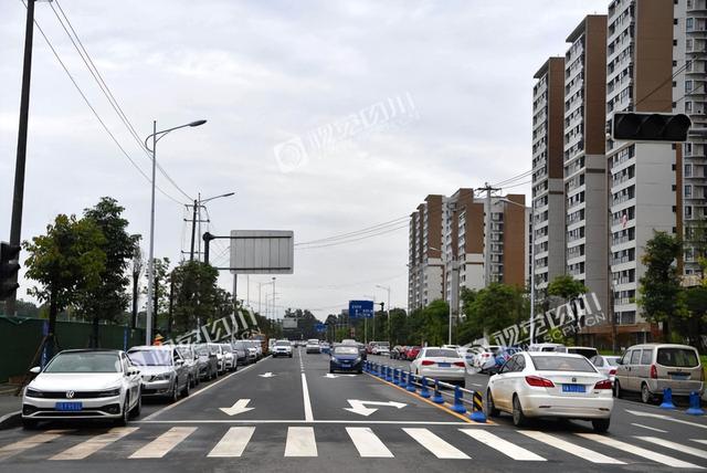 首次违停是否免罚，违停首次免罚要怎么处理（不是说“10分钟违停驶离免罚”吗）