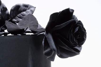 代表友谊的花朵是什么花，代表友谊的花朵是什么花束（七夕情人节你还送烂大街的红玫瑰吗）