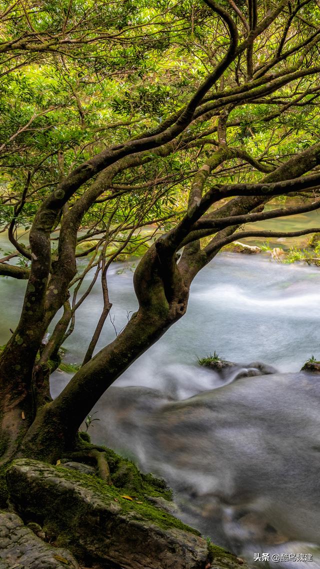 荔波旅遊景點有哪些,荔波值得去的旅遊景點有哪些(用我們在荔波兩年的