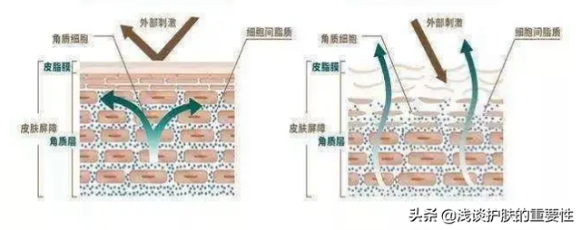 保湿和补水的区别，修复补水和保湿补水有什么区别（压根就不是一回事儿）