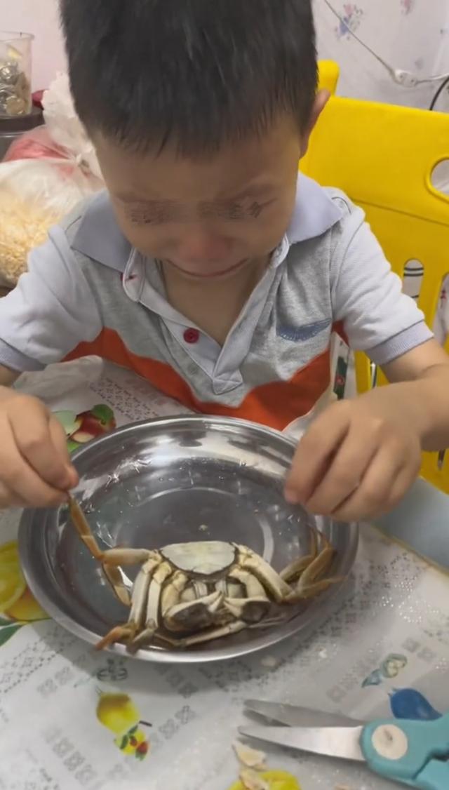 螃蟹怎么煮给小孩吃，螃蟹怎么煮给宝宝吃（或成孩子难治愈的童年阴影）
