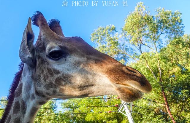 潮州旅游景点，广东省特色景点（动物园、冰雪世界、网红景点应有尽有）