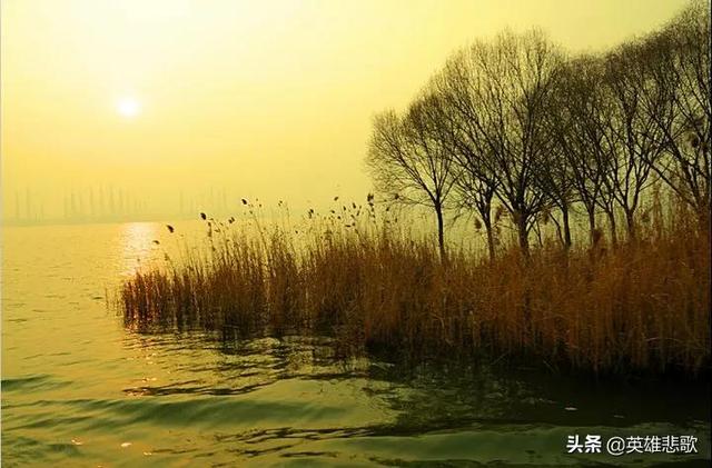 微山湖在哪，微山湖在哪个省份（微山湖本是苏鲁两省的界湖）