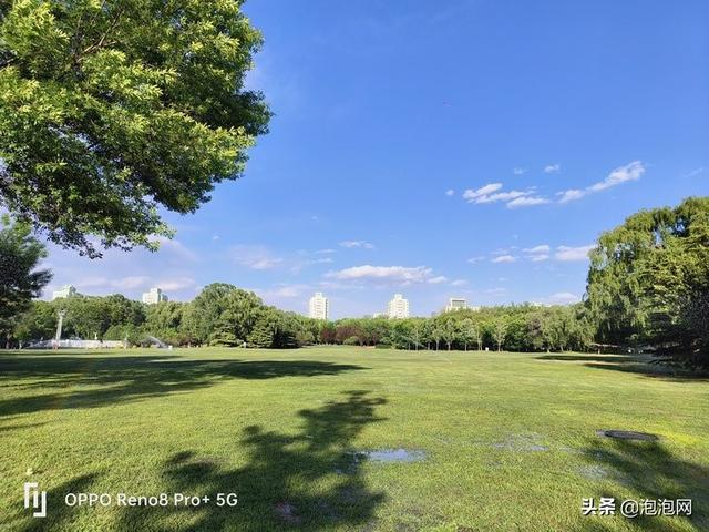 oppo研发的马里亚纳芯片拍照效果，X加持画质更出色