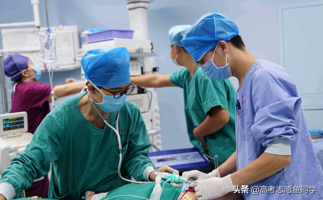 麻醉学就业前景及专业介绍，麻醉学是干什么的,就业前景怎么样（医学专业中比较冷门的4个专业）