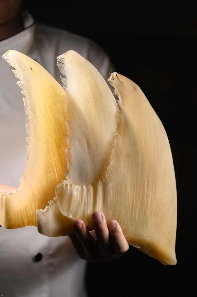 潮汕海鲜私房菜简介，这家，潮汕人圈内都在传…