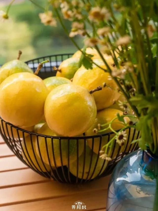 广西的特产水果有哪些，广西的特产有什么水果（满足水果控们的所有期望）
