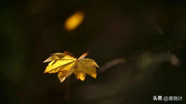 处暑的“处”字读第几声，2022年8月23日处暑节气出伏了吗（处暑：浅秋已至，念秋安）