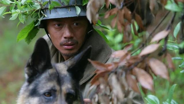 段奕宏演的电视剧，段奕宏演的电视剧有哪些（军旅剧《冬与狮》将拍）