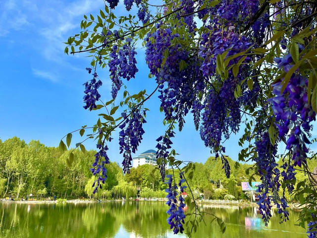 湖北生物工程学院，武汉生物工程学院怎么样（武汉生物工程学院2022年专科报考指南发布）