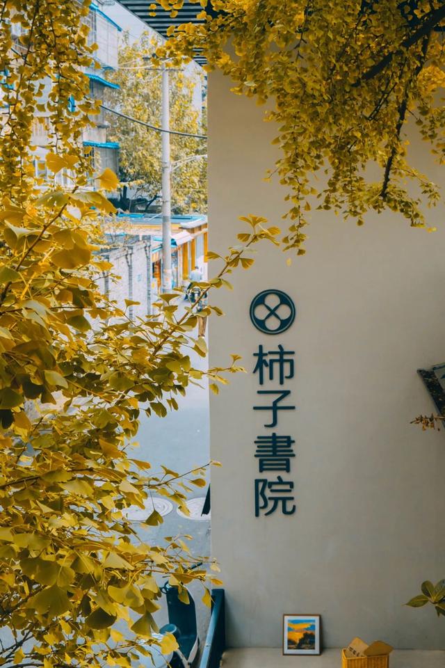 成都近郊一日游，可以吃好耍好的地方（成都7条小众烟火街巷）